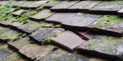 Beadlow roof repair costs